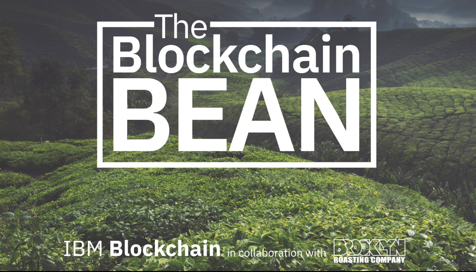 The Blockchain Bean: A Collaboration with IBM Blockchain Technology